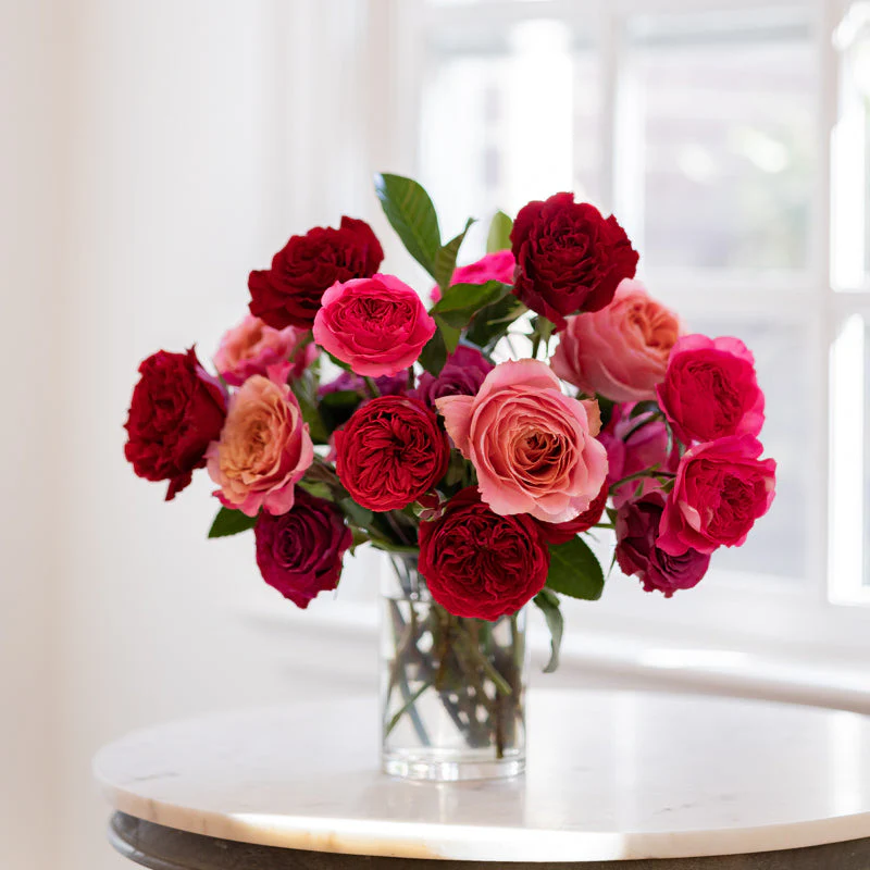 Julia Bouquet - Image 3