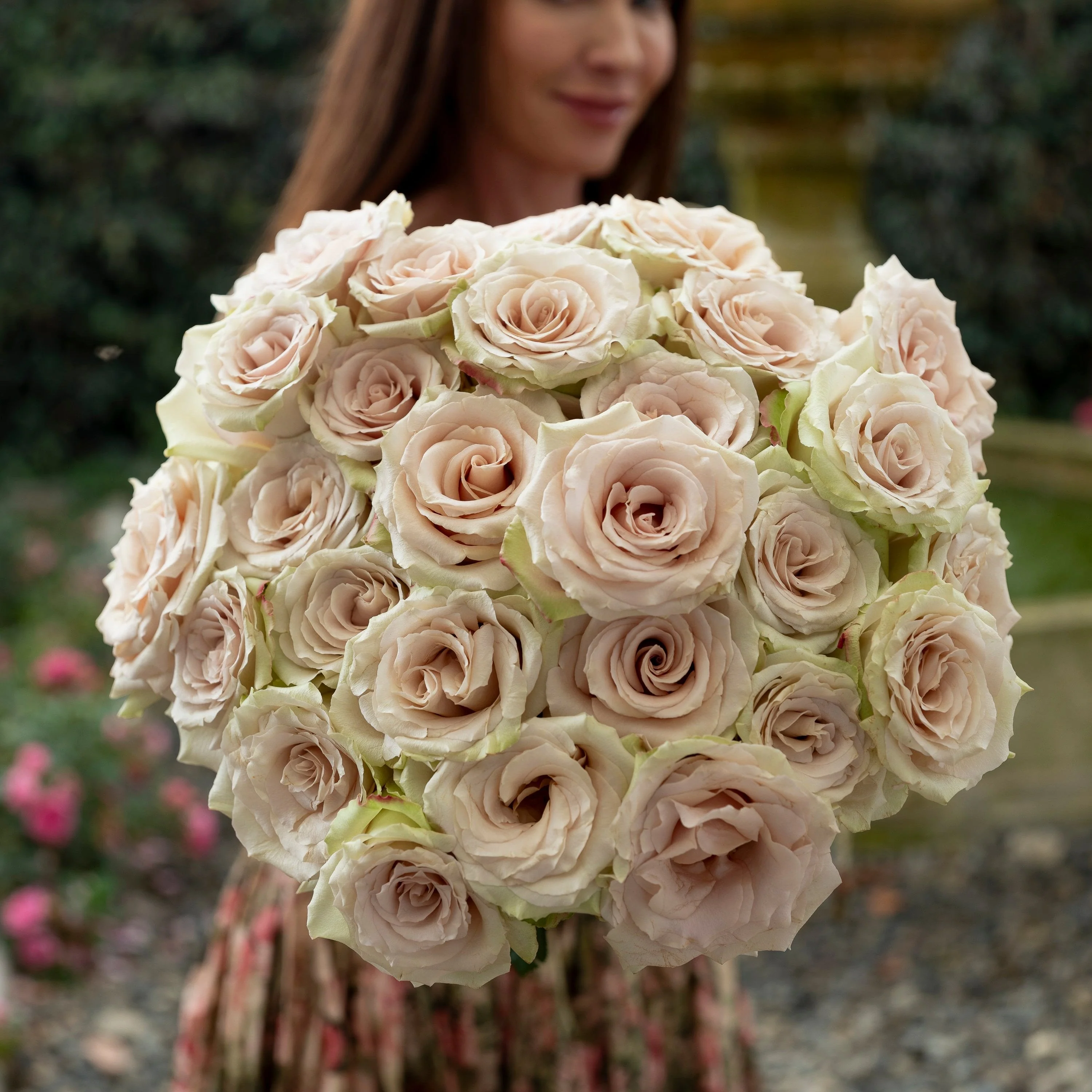 Always in Bloom™ Garden Rose Subscription - Image 11