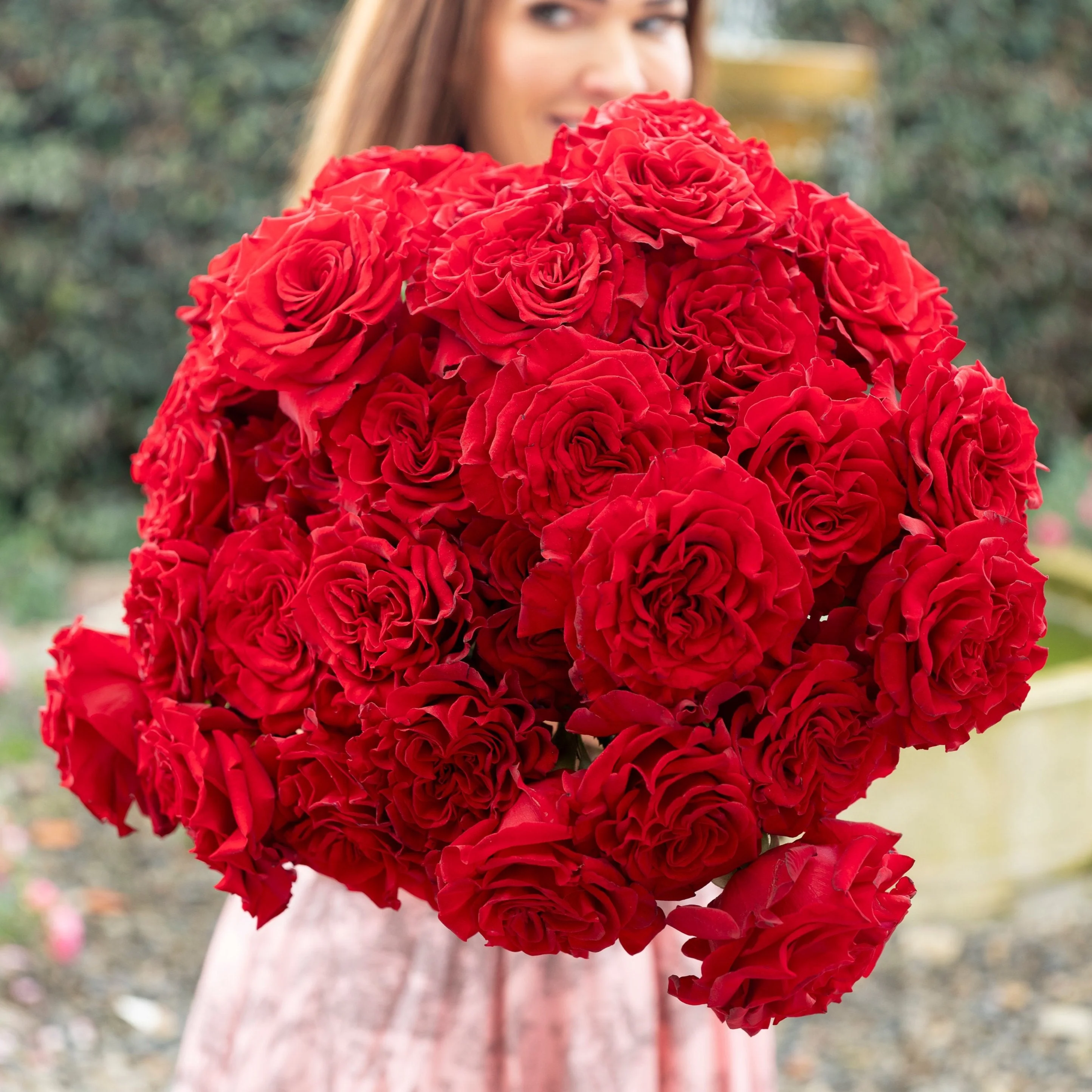 Always in Bloom™ Garden Rose Subscription - Image 12