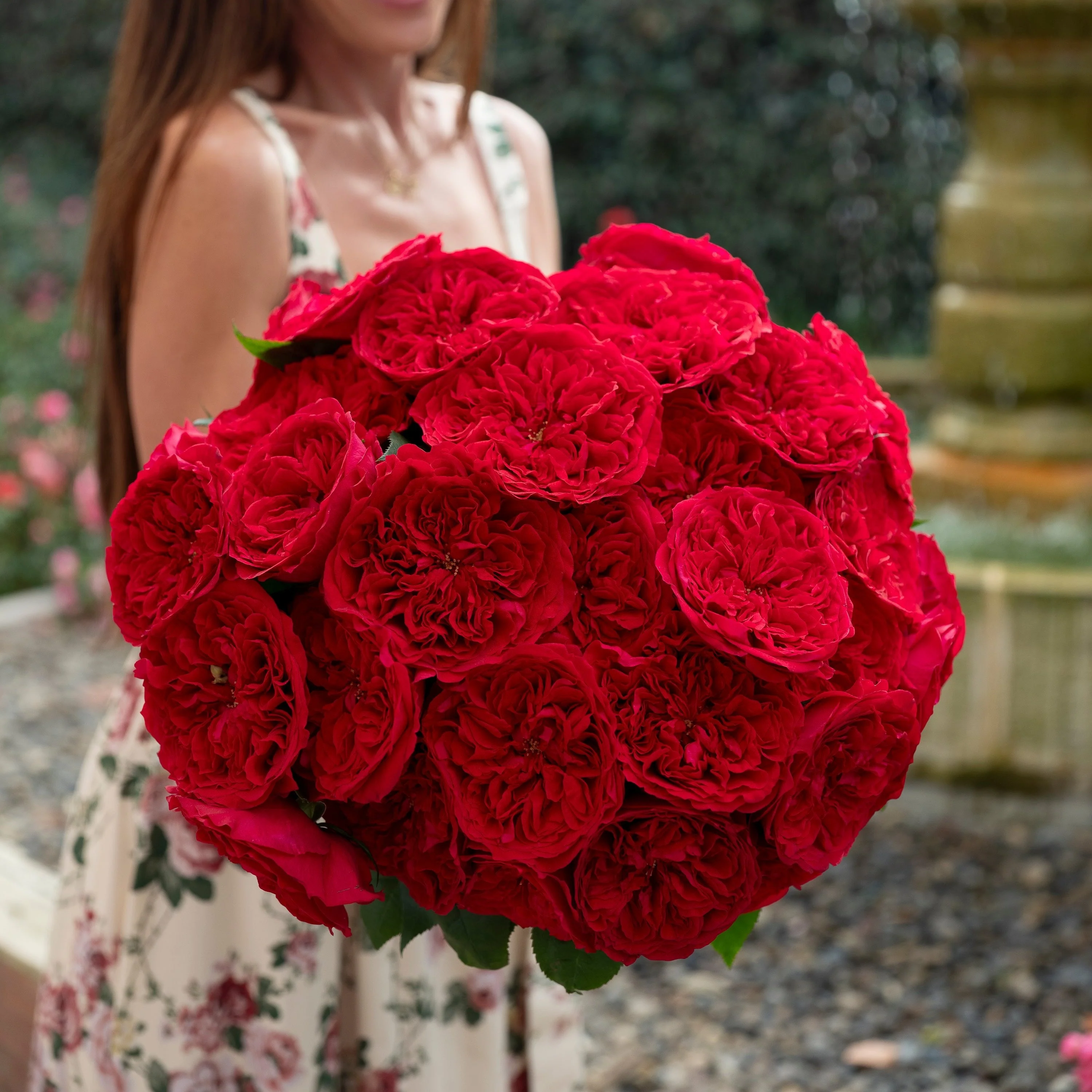 Always in Bloom™ Garden Rose Subscription - Image 19