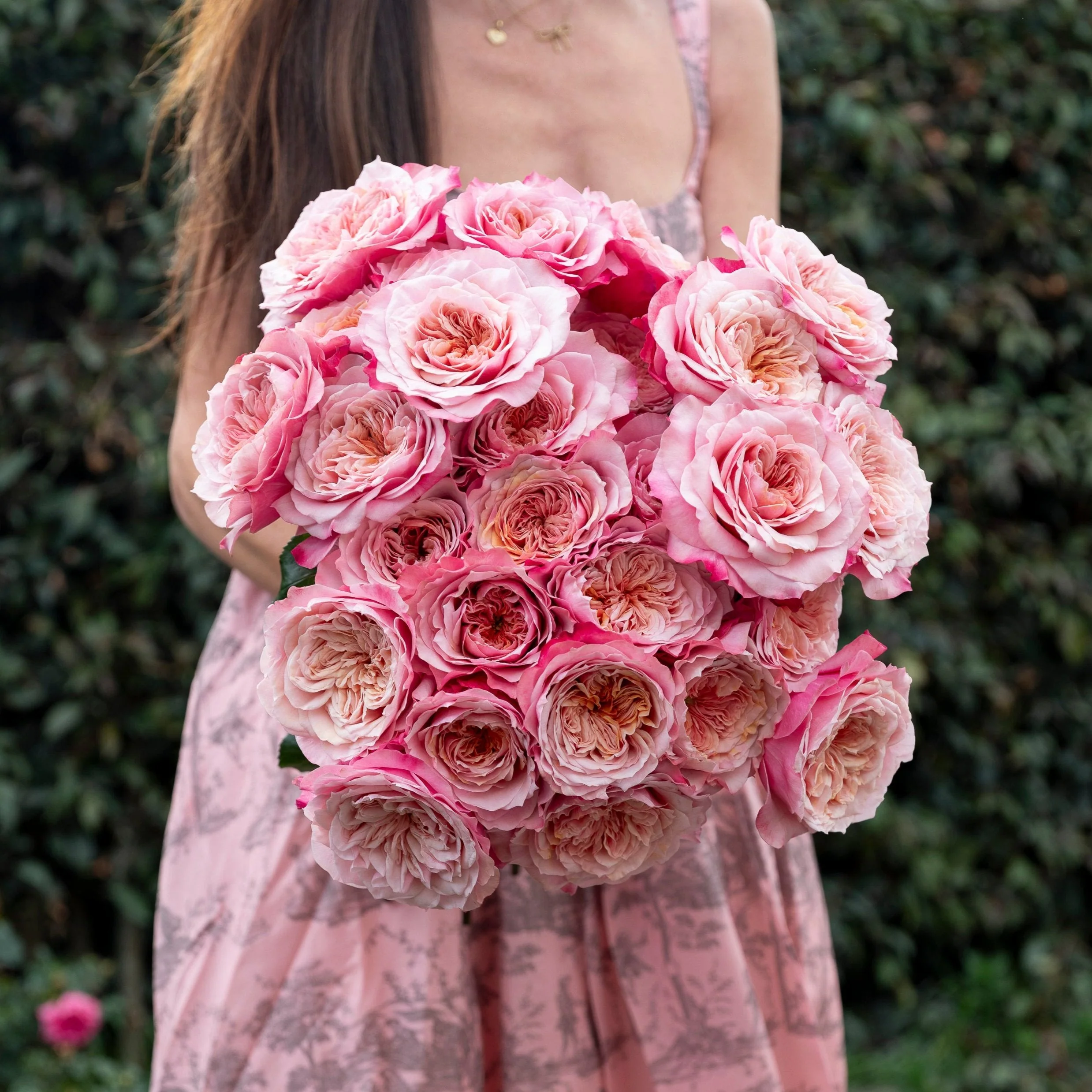 Always in Bloom™ Garden Rose Subscription - Image 21