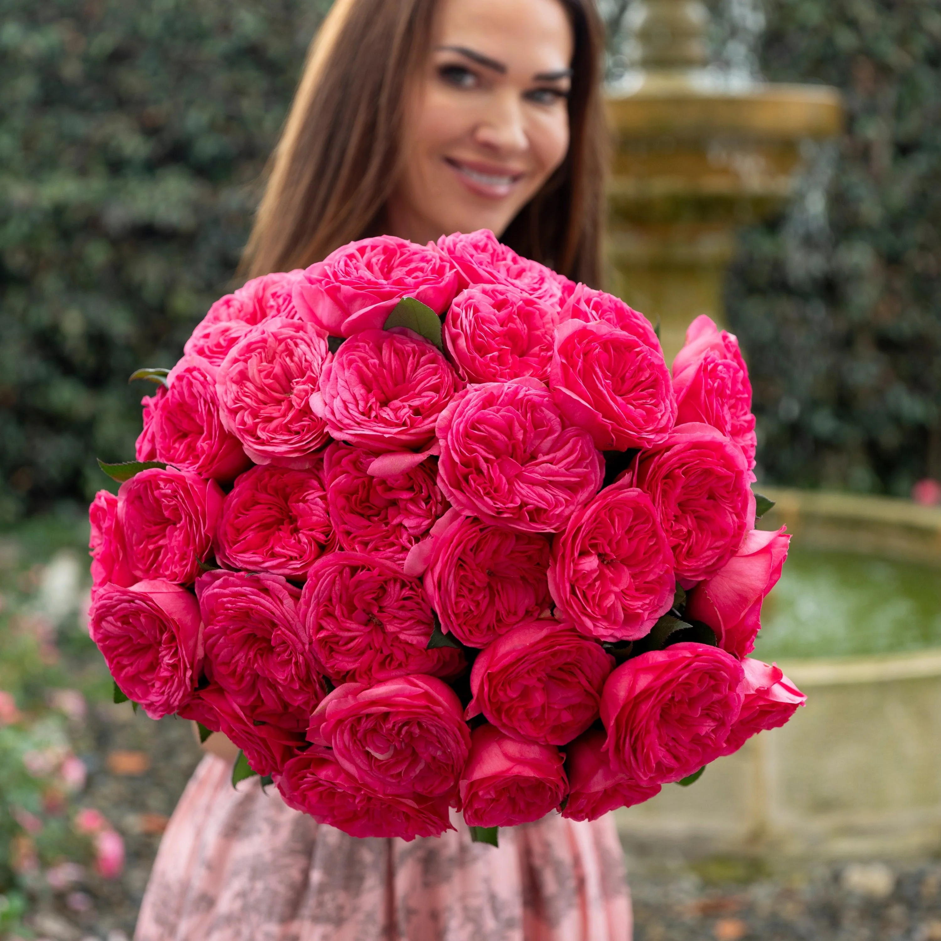 Always in Bloom™ Garden Rose Subscription - Image 8