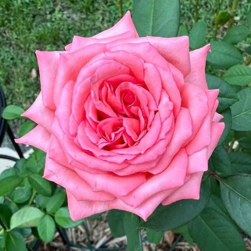 April's Birthday Bundle - Image 3