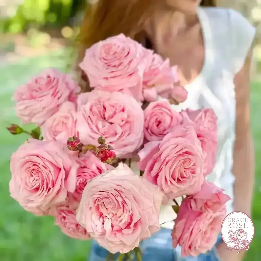 April's Birthday Bundle - Image 5