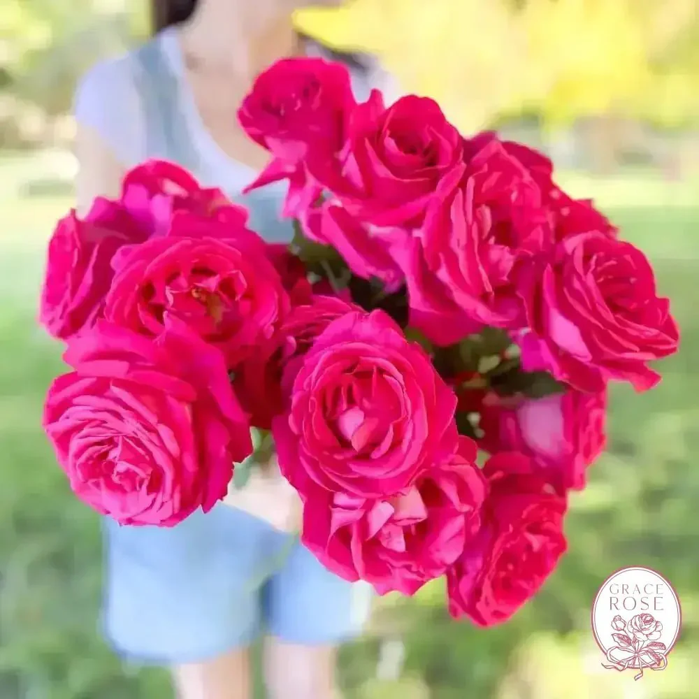 April's Birthday Bundle - Image 6