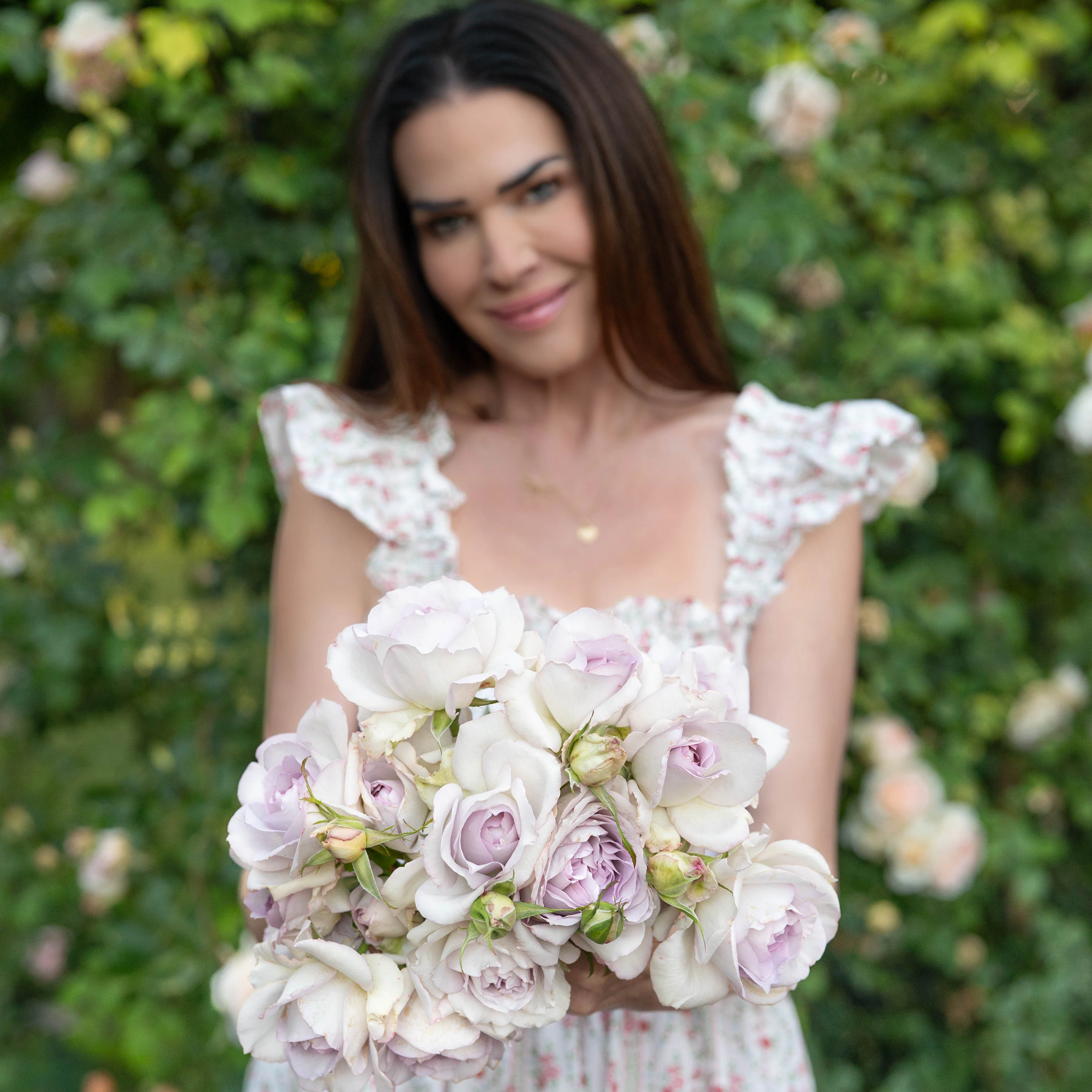 Blue Girl Potted Rose Bush - Image 4