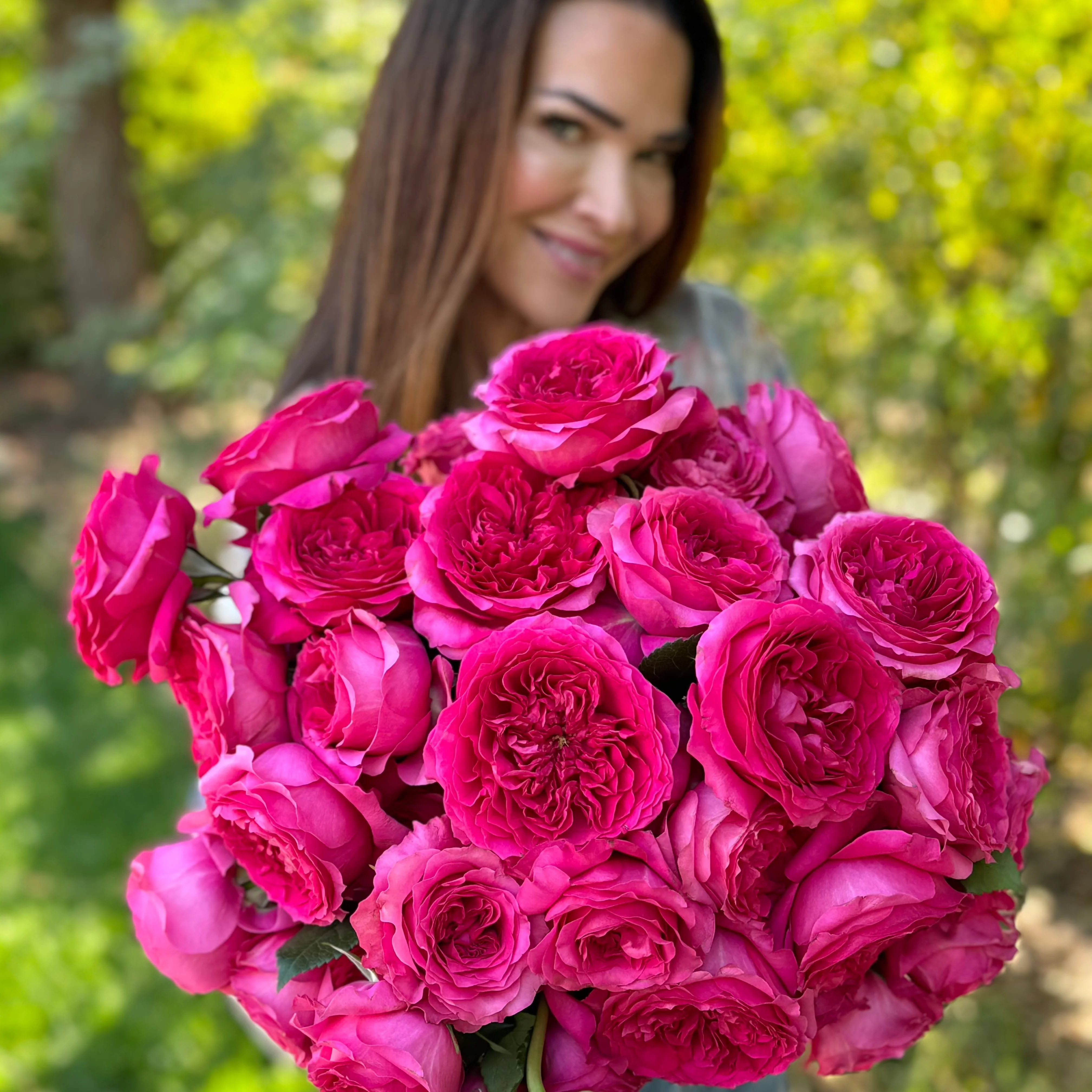 David Austin® Always in Bloom™ Subscription - Image 16