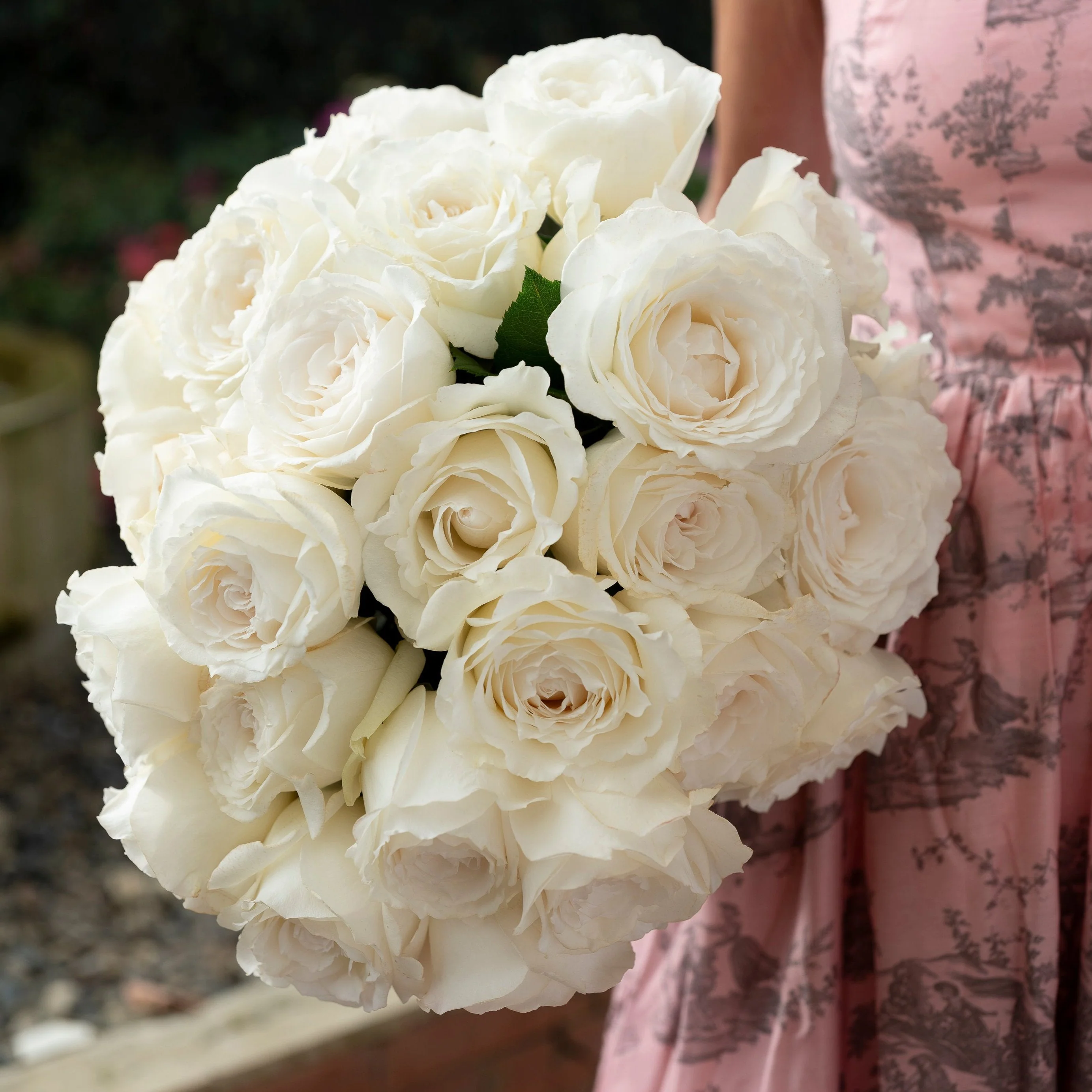 David Austin® Always in Bloom™ Subscription - Image 5