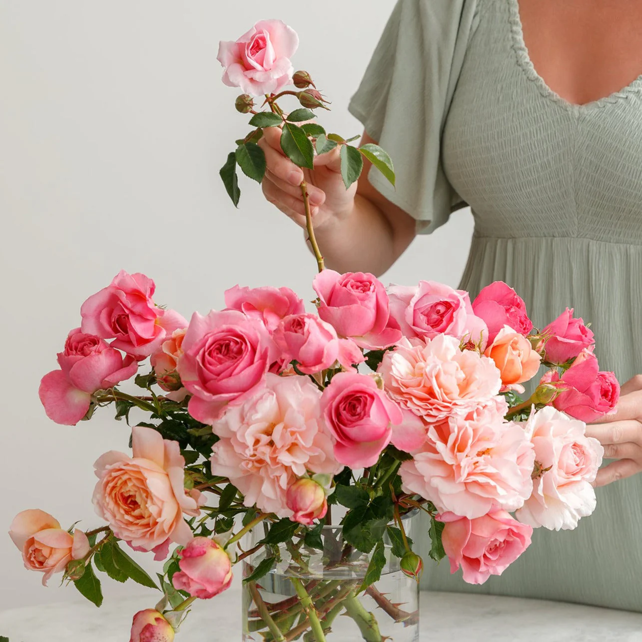 GARDEN ROSES: The Complete Guide to Growing & Arranging Spectacular Blooms *Signed Copy* - Image 4