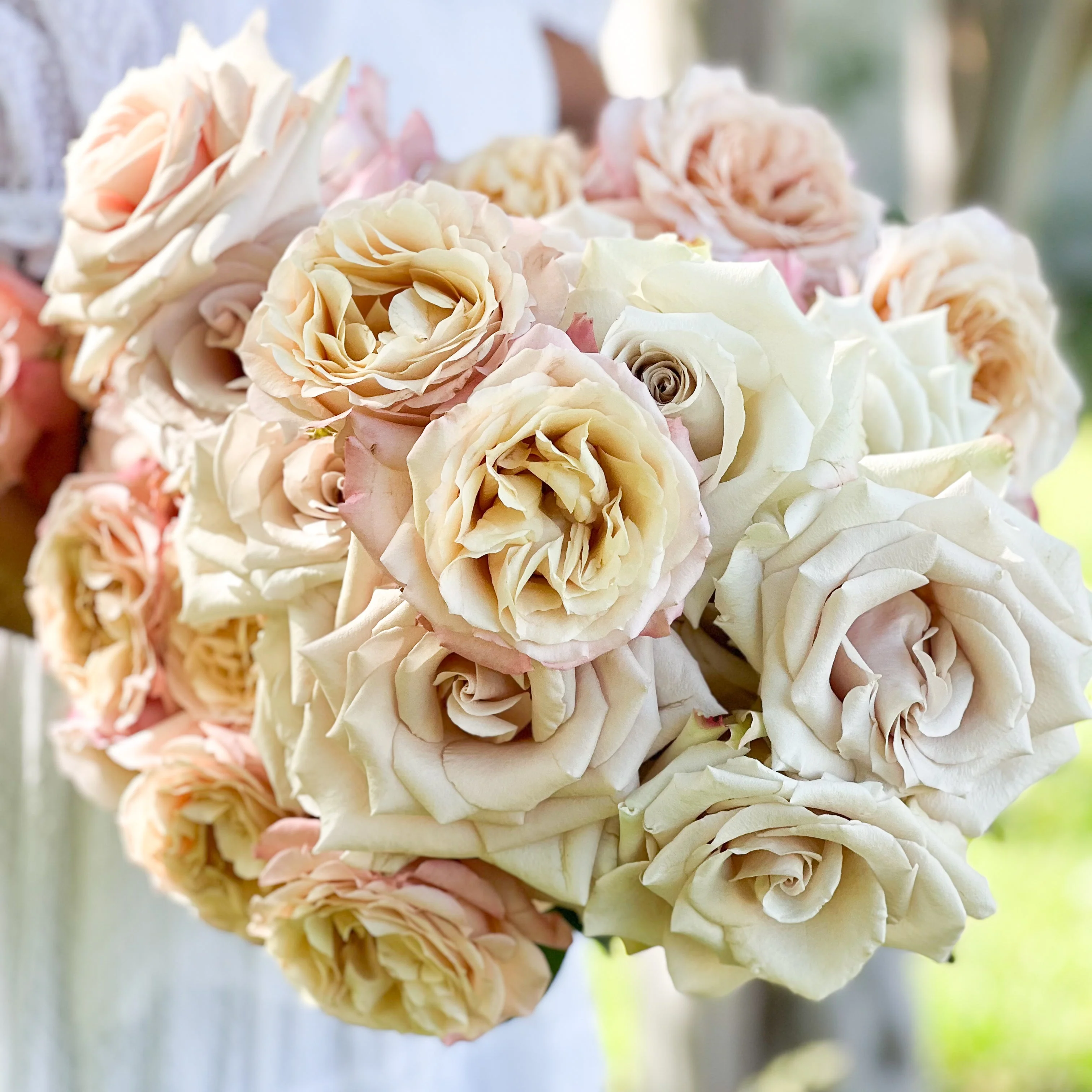 Nude Garden Rose Bundle - Image 4