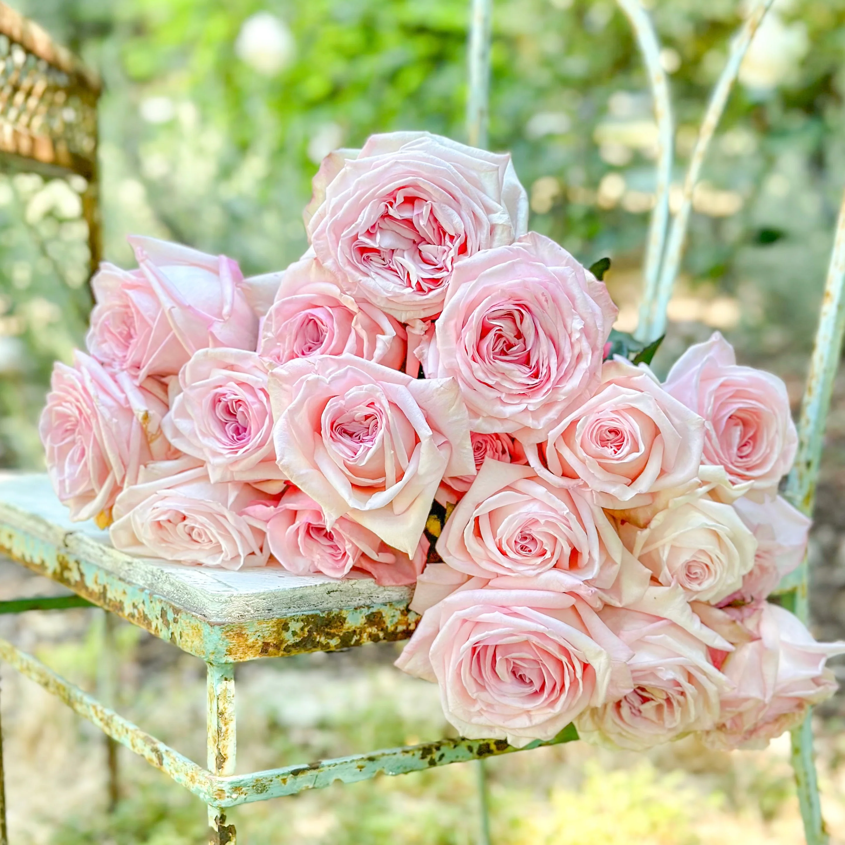Pink O'Hara® Bouquet - Image 3