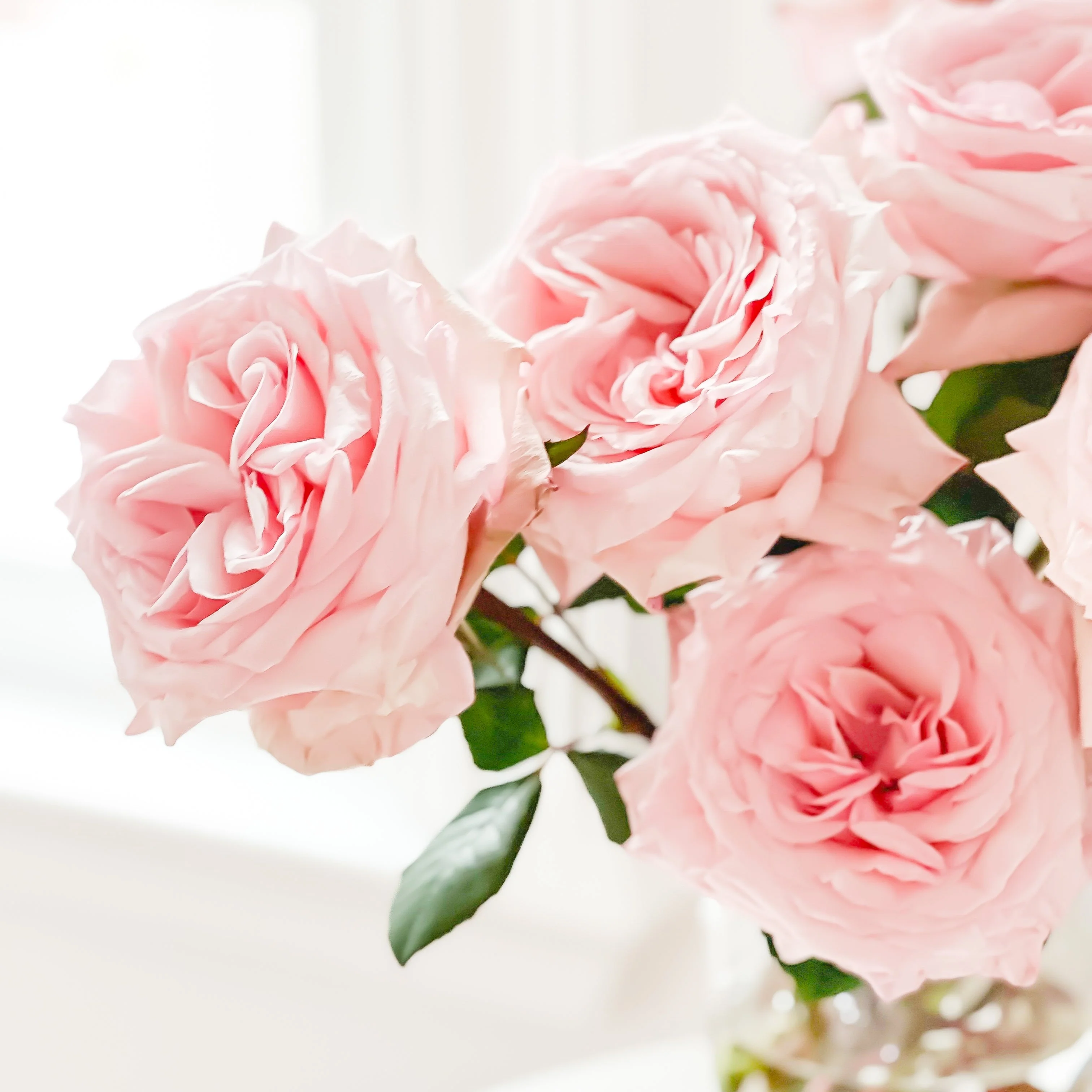 Pink O'Hara® Bouquet - Image 6