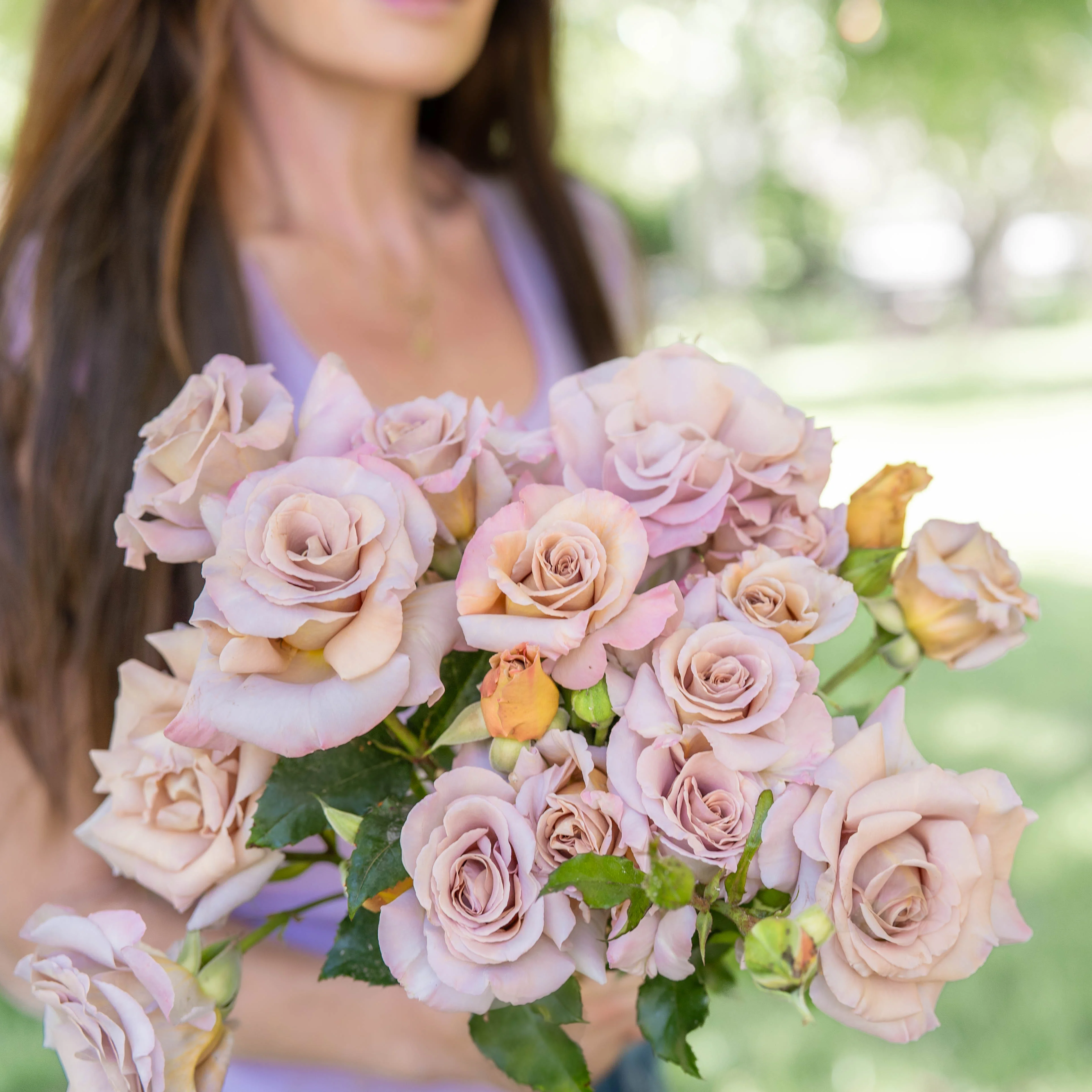 Stephen Rulo Potted Rose Bush - Image 3