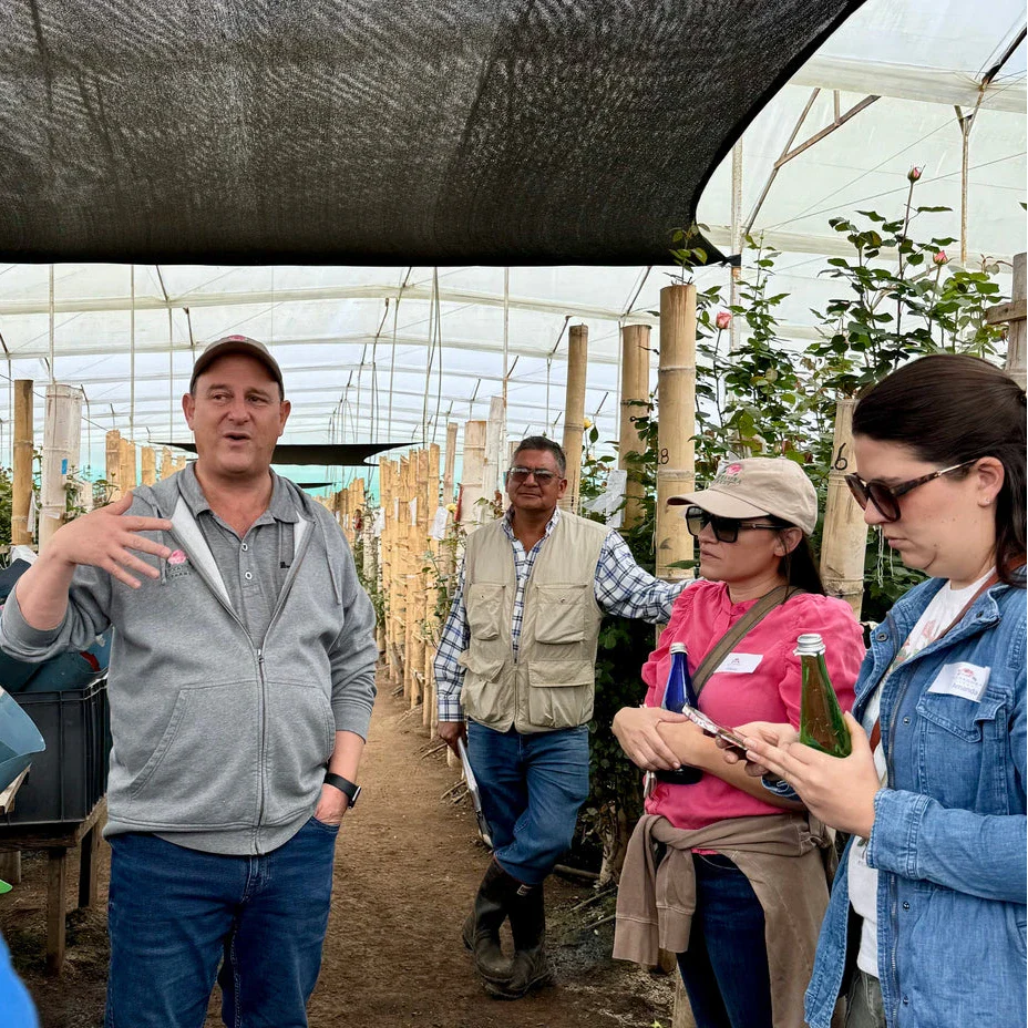 The Rose Immersion - A Colombian Floral Retreat at the World's Finest Rose Farm (Deposit) - Image 12