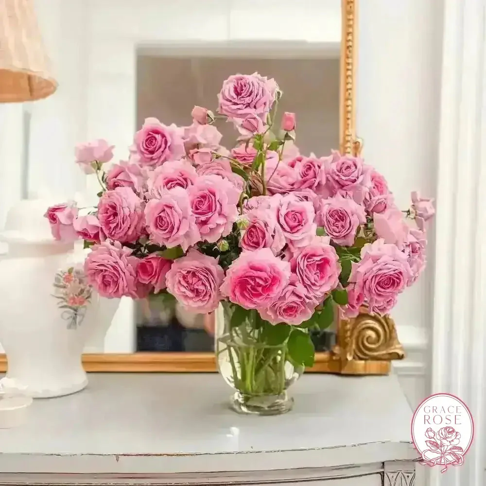 Violets Pride™ Potted Rose Bush - Image 5